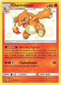 Charmeleon SV7/SV94  - Holofoil Hidden Fates Shiny Vault - Shiny Holo Rare