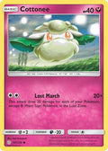 Cottonee 147/236  - Reverse Holofoil SM  Cosmic Eclipse - Common