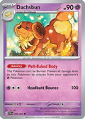 Dachsbun 039/091  SV Paldean Fates - Uncommon